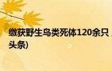 缴获野生鸟类死体120余只 上海警方破获非法狩猎案(今日/头条)