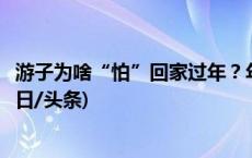 游子为啥“怕”回家过年？年轻人不喜欢被催婚、被比较(今日/头条)