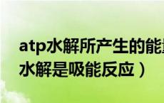 atp水解所产生的能量可用于吸能反应（atp水解是吸能反应）