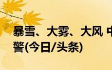 暴雪、大雾、大风 中央气象台继续发布三预警(今日/头条)