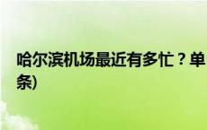 哈尔滨机场最近有多忙？单日运送旅客量连创新高(今日/头条)