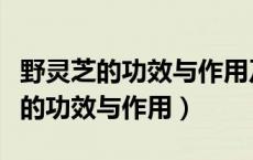 野灵芝的功效与作用及吃法禁忌图片（野灵芝的功效与作用）