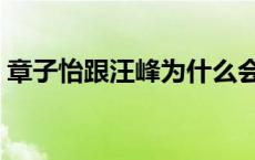 章子怡跟汪峰为什么会离婚（为什么会离婚）