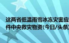 这两省低温雨雪冰冻灾害应急响应提升至Ⅲ级 紧急调拨4万件中央救灾物资(今日/头条)