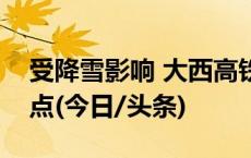 受降雪影响 大西高铁、郑太高铁部分列车晚点(今日/头条)