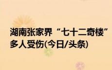 湖南张家界“七十二奇楼”内一钢结构顶棚发生部分倒塌，多人受伤(今日/头条)