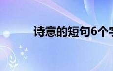 诗意的短句6个字（诗意的短句）