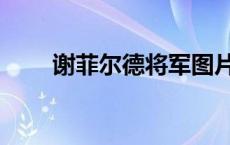 谢菲尔德将军图片（谢菲尔德将军）