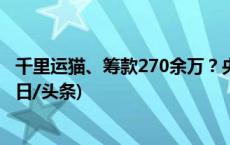 千里运猫、筹款270余万？央媒三问中国小动物保护协会(今日/头条)