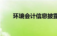 环境会计信息披露（会计信息披露）