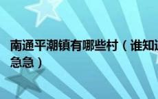 南通平潮镇有哪些村（谁知道江苏南通市平潮镇的邮编吗 急急急）