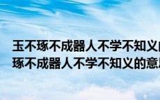 玉不琢不成器人不学不知义的意思如何给小班孩子讲（玉不琢不成器人不学不知义的意思）