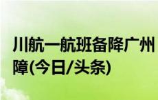 川航一航班备降广州，因空中出现飞机引气故障(今日/头条)