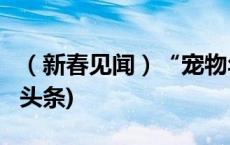 （新春见闻）“宠物年俗”追求仪式感(今日/头条)