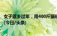 女子返乡过年，用400斤猫砂为“留守猫”打造“私人沙滩”(今日/头条)