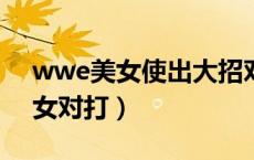 wwe美女使出大招对手苦不堪言（WWE美女对打）