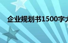 企业规划书1500字大学生（企业规划书）