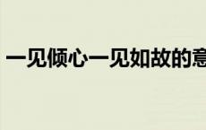 一见倾心一见如故的意思（一见如故的意思）