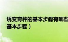 诱变育种的基本步骤有哪些?每步关键是什么（诱变育种的基本步骤）