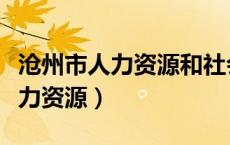 沧州市人力资源和社会保障局地址（沧州市人力资源）