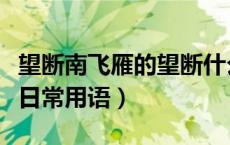 望断南飞雁的望断什么意思（望断南飞雁打一日常用语）