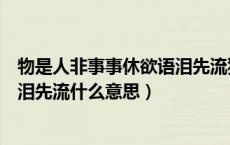 物是人非事事休欲语泪先流猜一成语（物是人非事事休欲语泪先流什么意思）