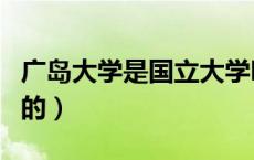 广岛大学是国立大学吗（广岛大学相当于国内的）