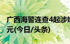 广西海警连查4起涉嫌走私案件 案值约600万元(今日/头条)