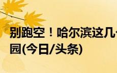 别跑空！哈尔滨这几个热门景点今天暂停、闭园(今日/头条)