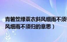 青箬笠绿蓑衣斜风细雨不须归的意思读音（青箬笠绿蓑衣斜风细雨不须归的意思）