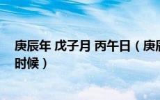 庚辰年 戊子月 丙午日（庚辰年戊子月丙午日己亥时是什么时候）