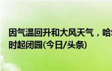 因气温回升和大风天气，哈尔滨冰雪大世界将于2月15日24时起闭园(今日/头条)