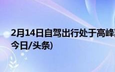 2月14日自驾出行处于高峰期 这些时段和高速路段易拥堵(今日/头条)