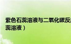 紫色石蕊溶液与二氧化碳反应的化学方程式是什么（紫色石蕊溶液）