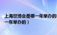 上海世博会是哪一年举办的齐鲁制药老总（上海世博会是哪一年举办的）