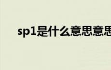 sp1是什么意思意思（sp1是什么意思）