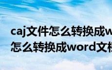 caj文件怎么转换成word文档 wps（caj文件怎么转换成word文档）