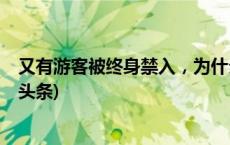 又有游客被终身禁入，为什么不能随意投喂大熊猫？(今日/头条)