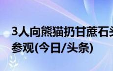 3人向熊猫扔甘蔗石头香蕉皮被罚：终身禁止参观(今日/头条)