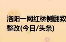 洛阳一网红桥侧翻致6名游客被困，景区全面整改(今日/头条)