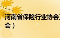 河南省保险行业协会王琳（河南省保险行业协会）