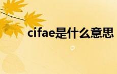 cifae是什么意思（fae是什么意思）