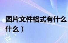 图片文件格式有什么（图片文件格式的区别是什么）