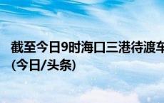 截至今日9时海口三港待渡车辆约6200辆 港口正全力疏运中(今日/头条)