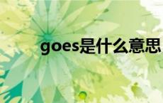 goes是什么意思（go是什么意思）