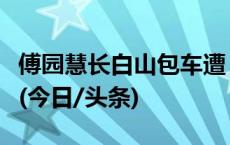 傅园慧长白山包车遭“半路加钱”？当地回应(今日/头条)