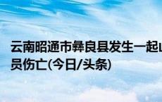 云南昭通市彝良县发生一起山火 已扑灭全部明火、未造成人员伤亡(今日/头条)