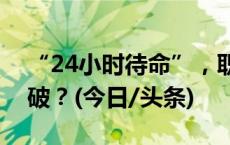 “24小时待命”，职场人为“群”所困怎么破？(今日/头条)