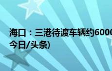 海口：三港待渡车辆约6000辆，出岛小车请暂勿前往港口(今日/头条)