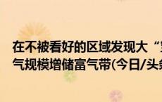 在不被看好的区域发现大“宝藏”！四川盆地发现新的页岩气规模增储富气带(今日/头条)